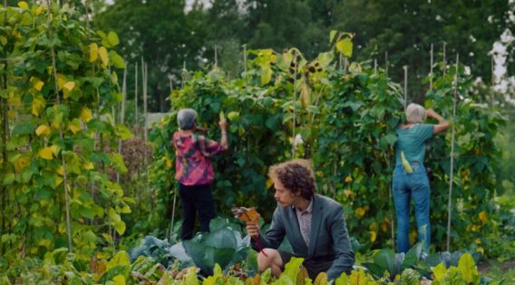 Abovomaxlead - Schermafbeelding 2024-08-07 130040